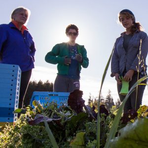 Addressing community needs in the food system
