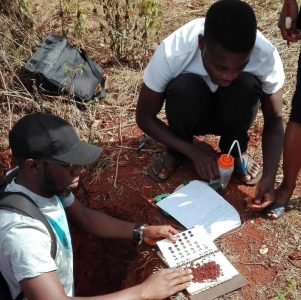 Bird’s-eye view of soil science challenges
